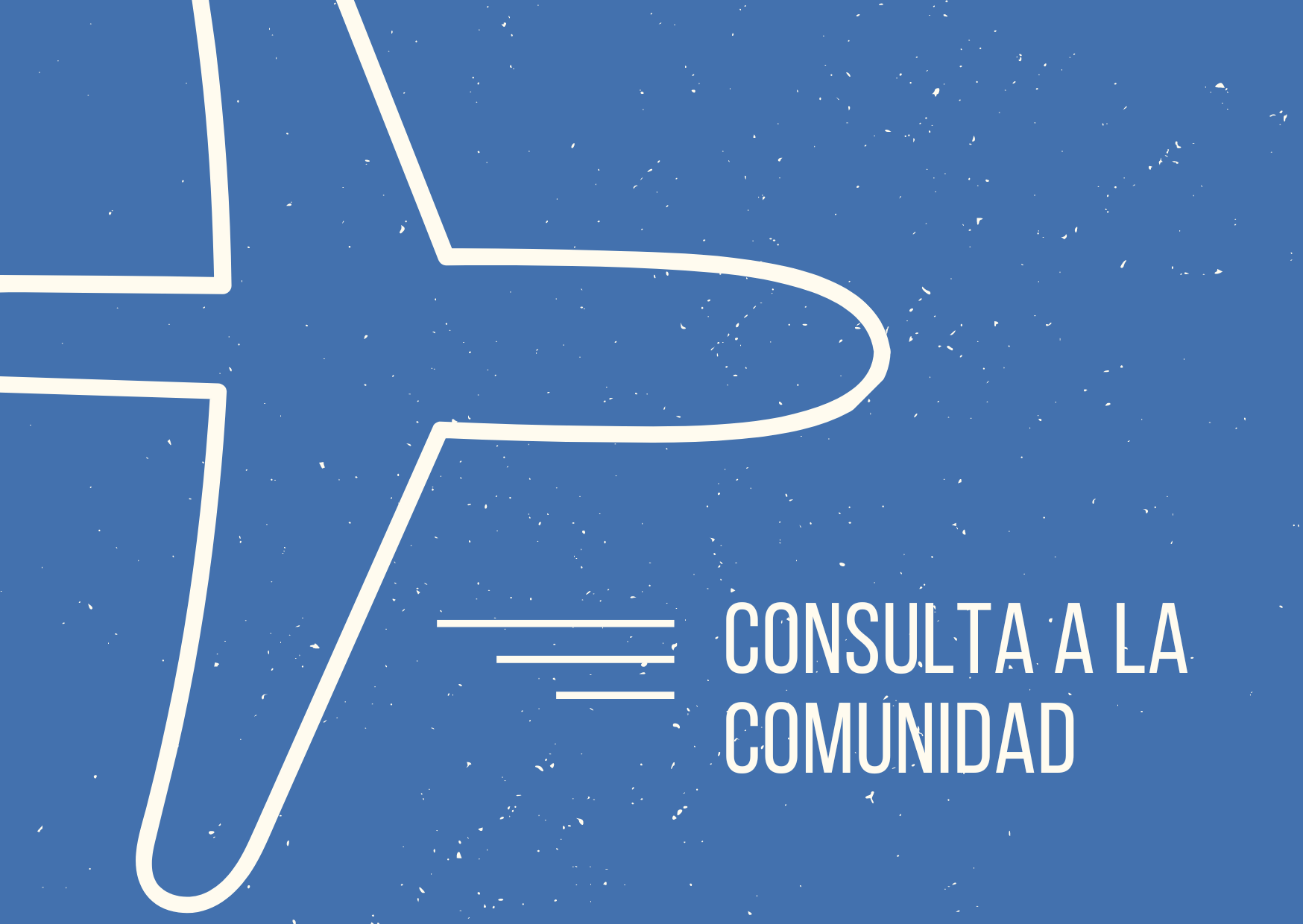 CONSULTA A LA COMUNIDAD LAR ANS