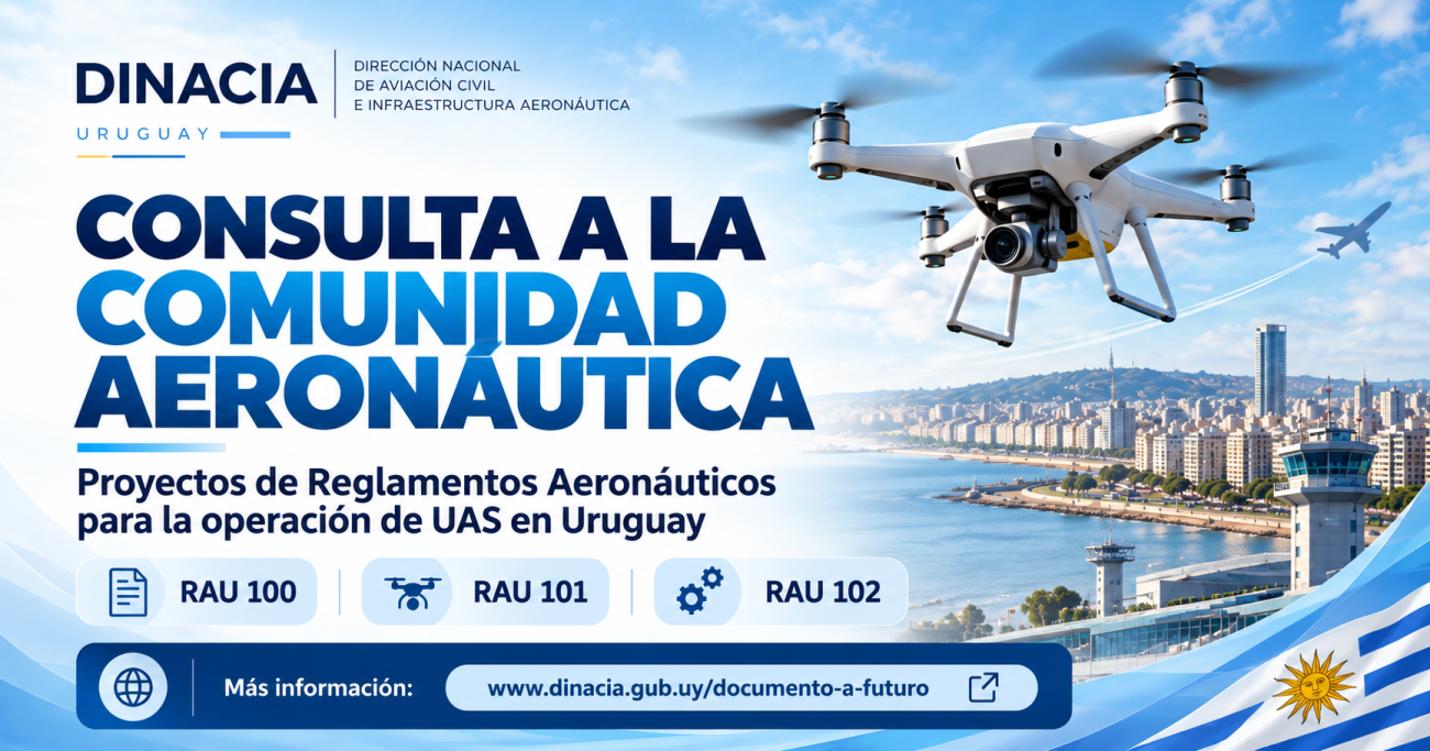CONSULTA COMUNIDAD AERONAUTICA